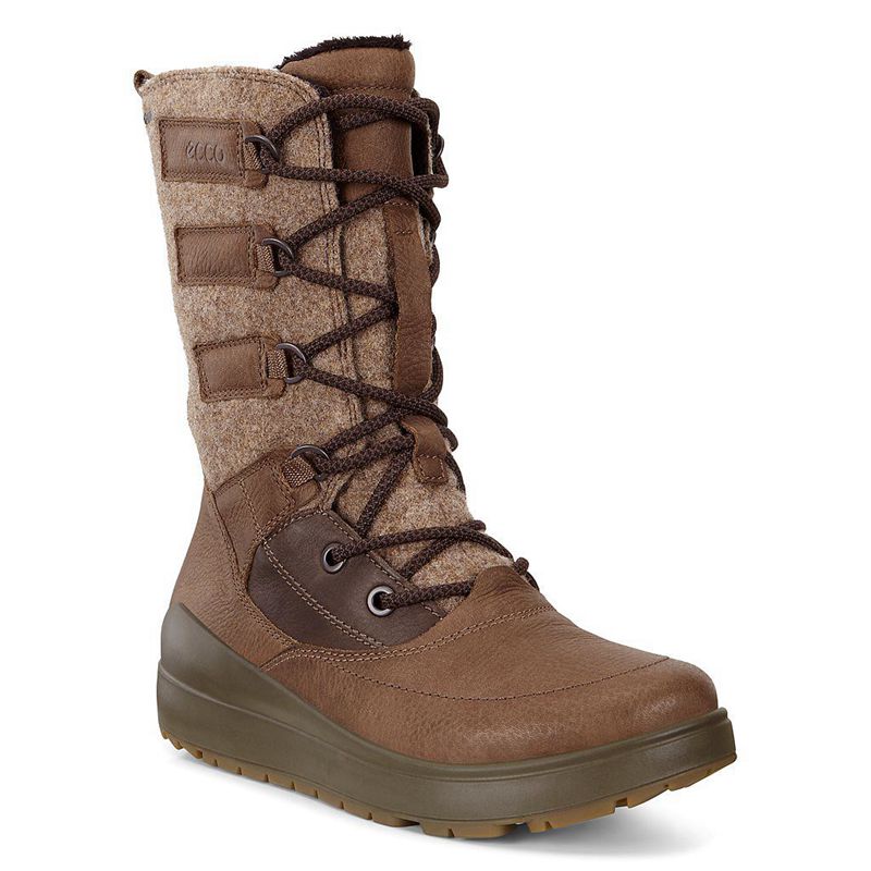 Women Ecco Noyce - Gore-Tex Brown - India ZUFHBI965